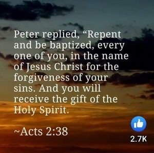 Meet your Posher, Terry